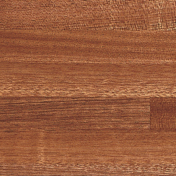 Sapele